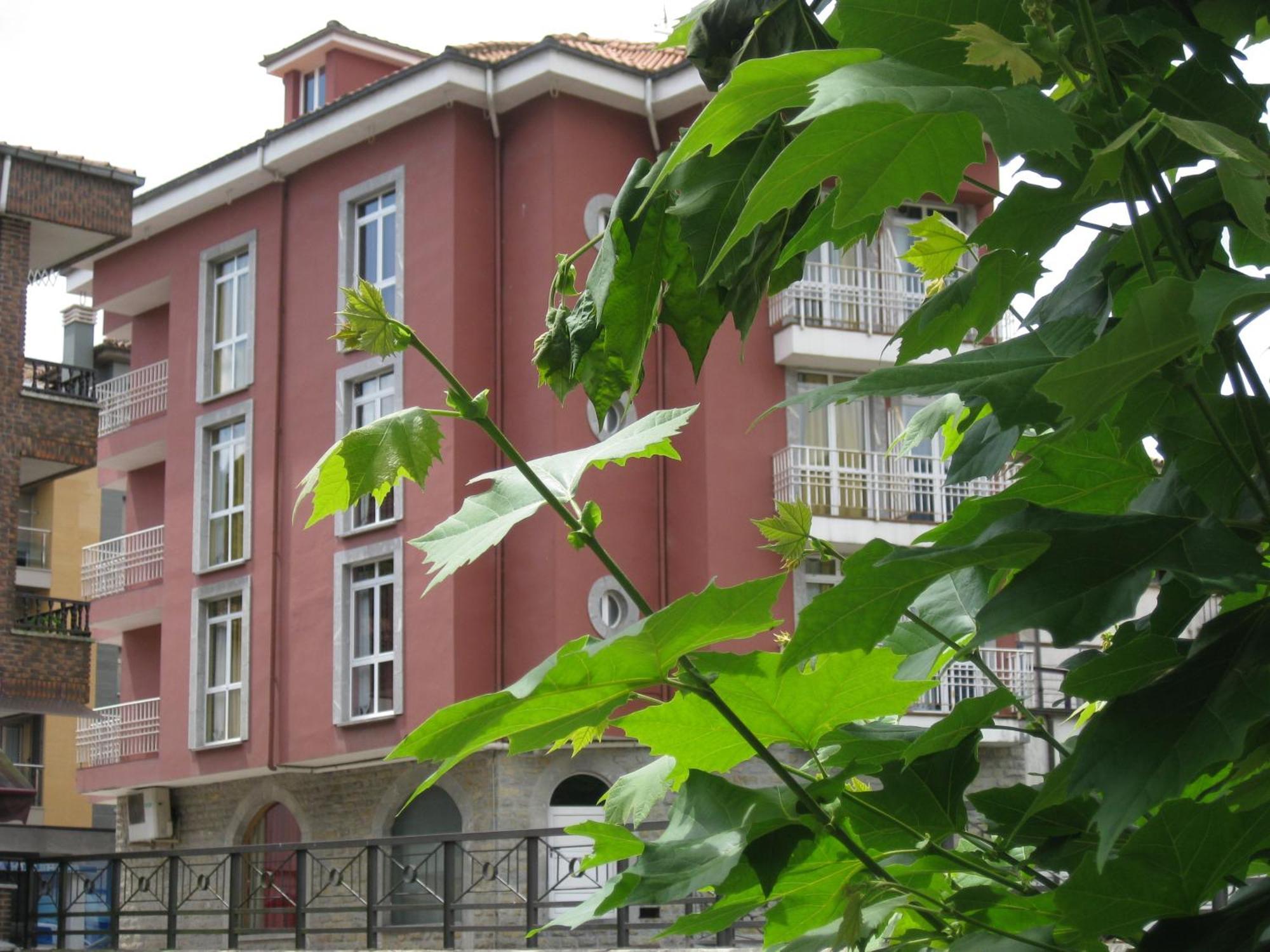 Los Acebos Cangas Onís Dış mekan fotoğraf