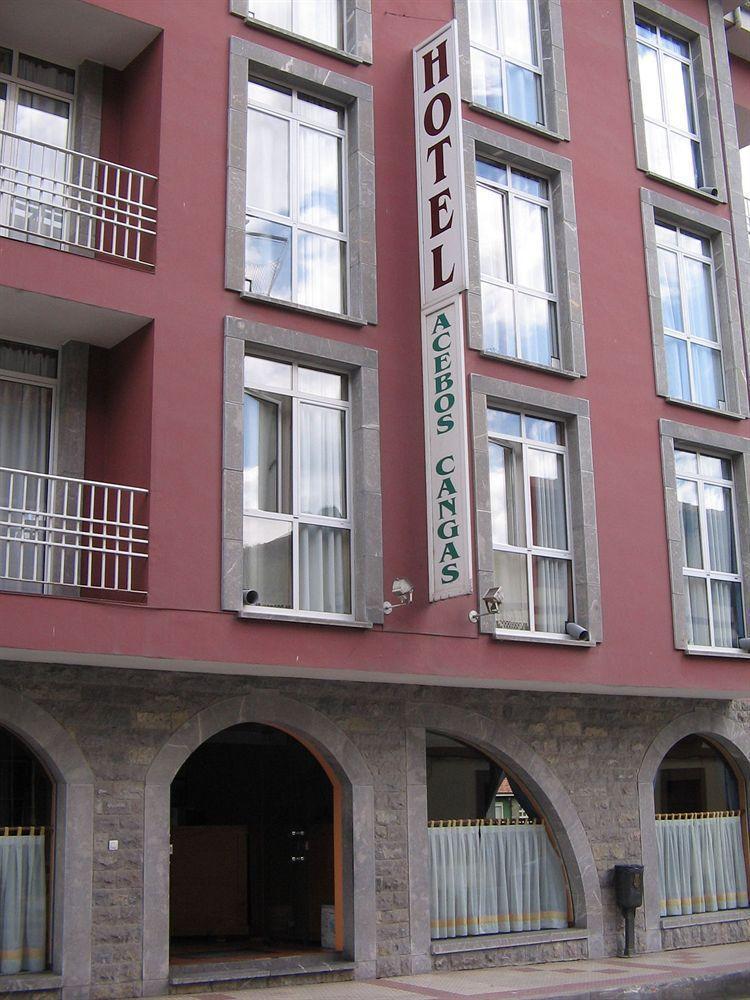 Los Acebos Cangas Onís Dış mekan fotoğraf